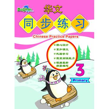 Chinese Practice Paper Primary 3 华文同步练习