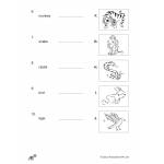 Primary 2 1000 Vocabulary - 3rd Edition