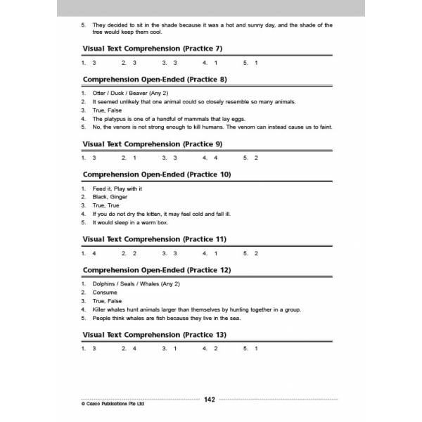 Comprehension Visual Text Open-Ended 2