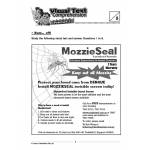 Comprehension Visual Text Open-Ended 3