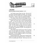 Comprehension Visual Text Open-Ended 3