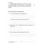 Comprehension Visual Text Open-Ended 3
