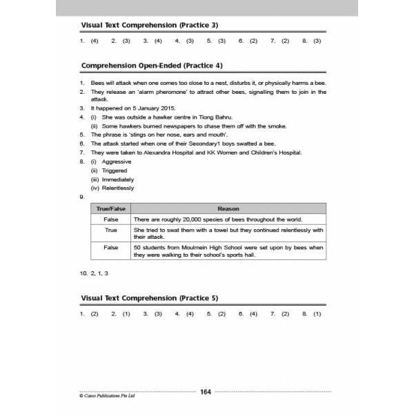 Comprehension Visual Text Open-Ended 3