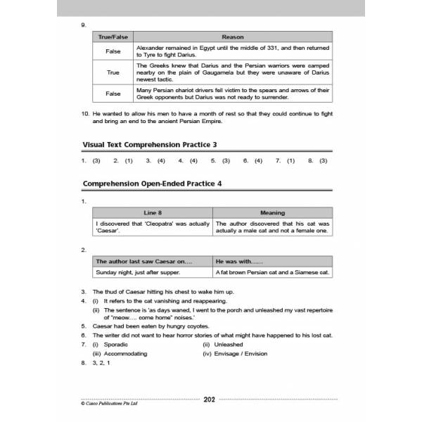 Comprehension Visual Text Open-Ended 6