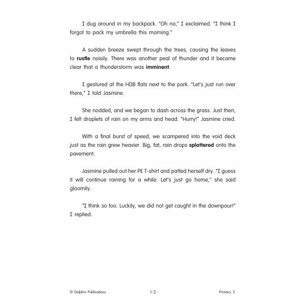 Primary 3 English