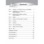 IQ Mathematics Book 4