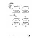 Mathematics Handbook Primary 3 - 2nd Edition