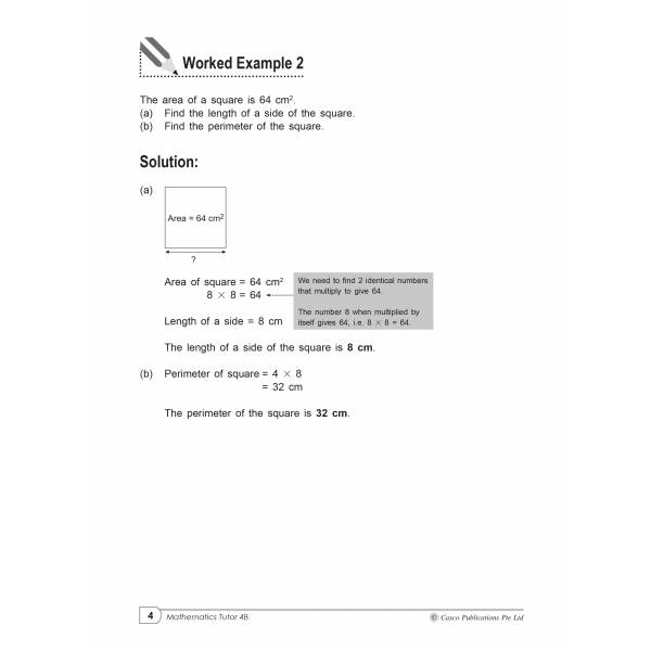 Mathematics Tutor