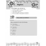 Primary 6 Lesson-by-Lesson Maths - 2nd Edition