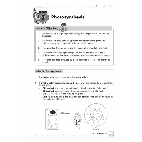 New Topical Science Primary 6 - 2nd Edition