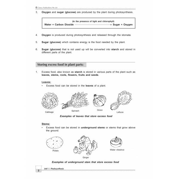 New Topical Science Primary 6 - 2nd Edition