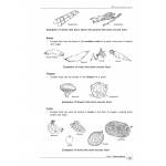 New Topical Science Primary 6 - 2nd Edition