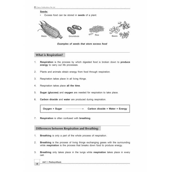 New Topical Science Primary 6 - 2nd Edition
