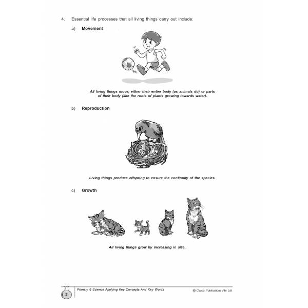Science Applying Key Concepts & Key Words Primary 6 - 2nd Edition