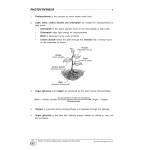 Science Applying Key Concepts & Key Words Primary 6 - 2nd Edition