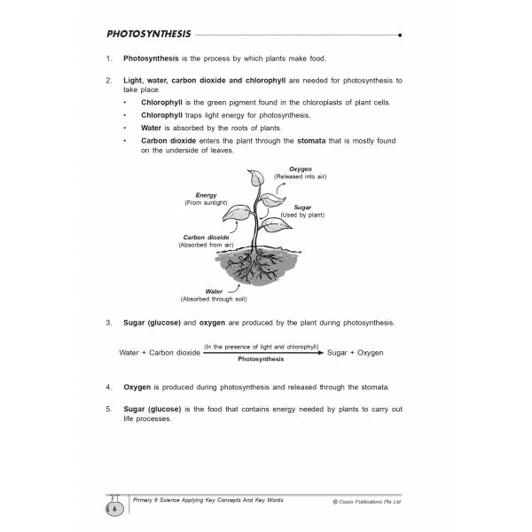 Science Applying Key Concepts & Key Words Primary 6 - 2nd Edition