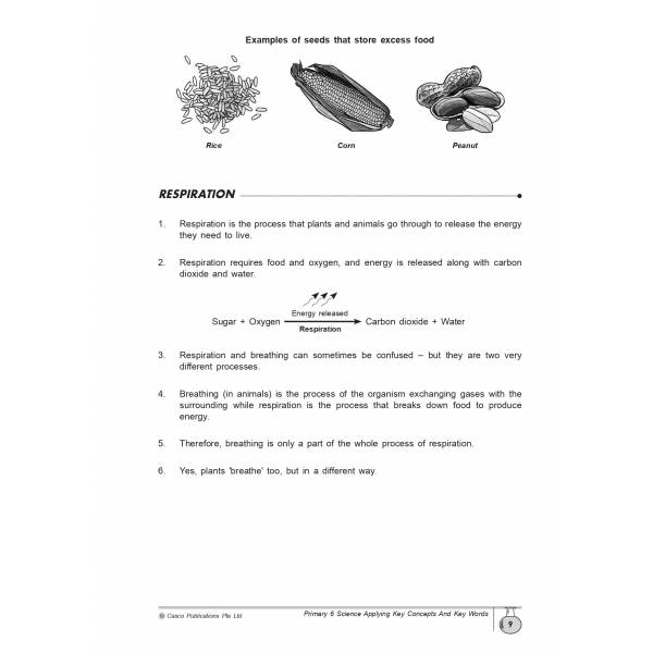Science Applying Key Concepts & Key Words Primary 6 - 2nd Edition