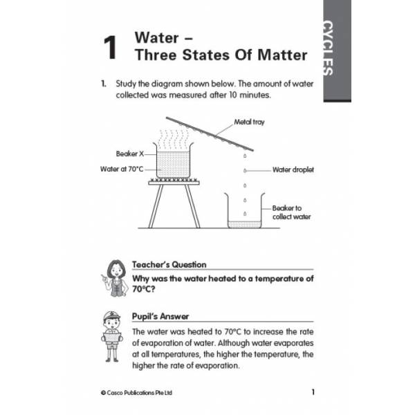 Primary 5 Science