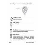 Primary 5 Science