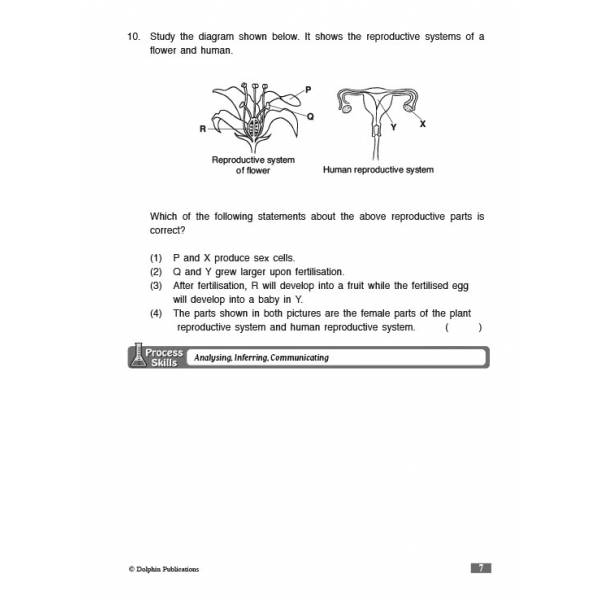 Science Process Skills Primary 5