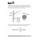 Science Score in Open-Ended Questions P5