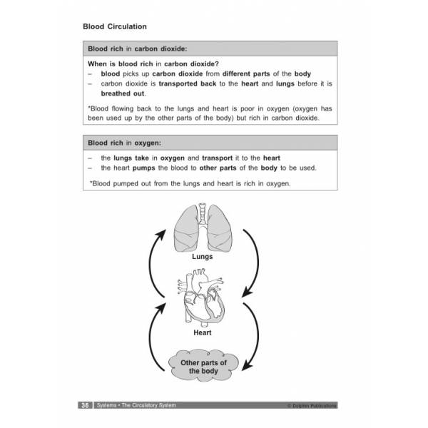 Science Score in Open-Ended Questions P5